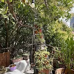 Albania Dream Holidays H *