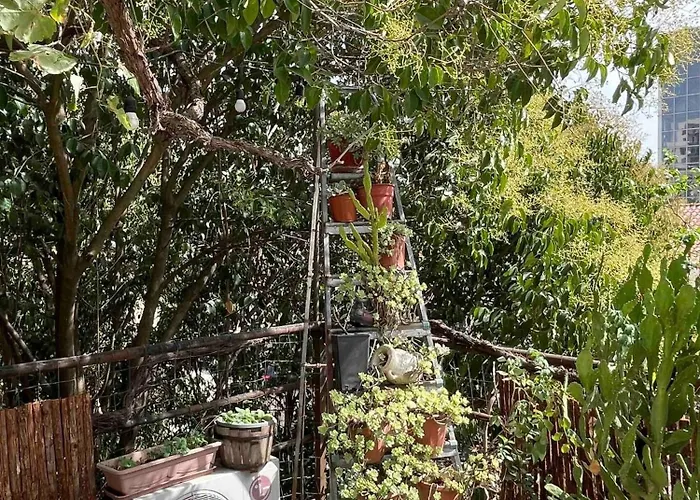 Albania Dream Holidays H *